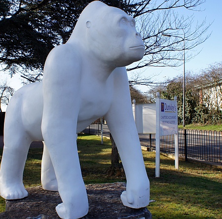 Wow! Gorilla No.62 in the garden of Dunkley's in Bradley Stoke