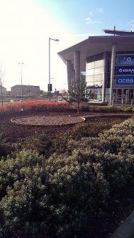 Site of the Dreamscheme community garden at the Willow Brook Centre.