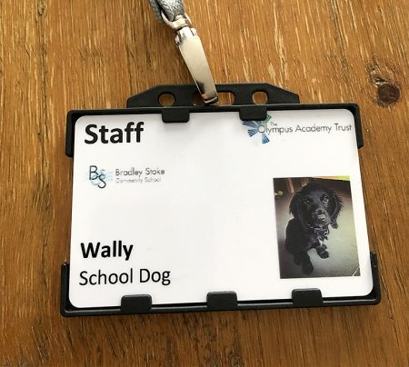 Photo of a security pass for Wally the Dog.