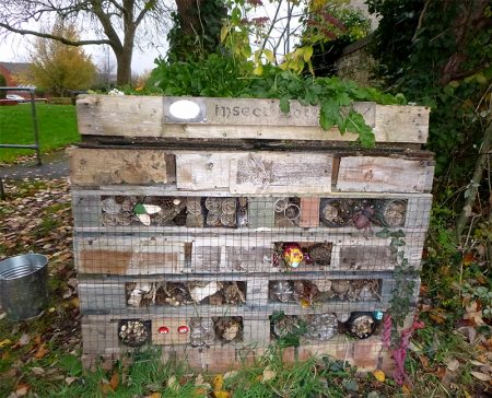 Photo of an insect hotel at The Common East.