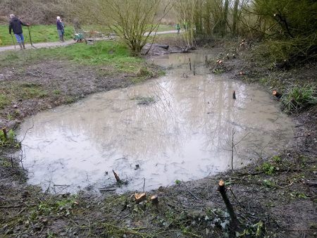 Photo of the new pond that has appeared beside the main path behind BSCS.