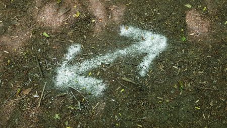 Photo showing an arrow sprayed on the woodland floor marking the route of one the planned new paths.