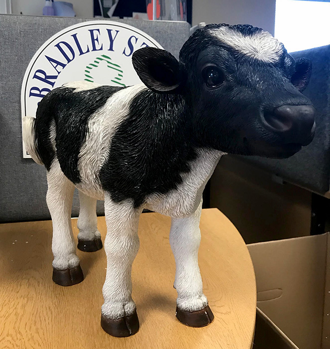 Photo of the replacement 'Debbie the calf' figure.