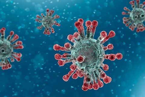 Image of coronavirus particles.