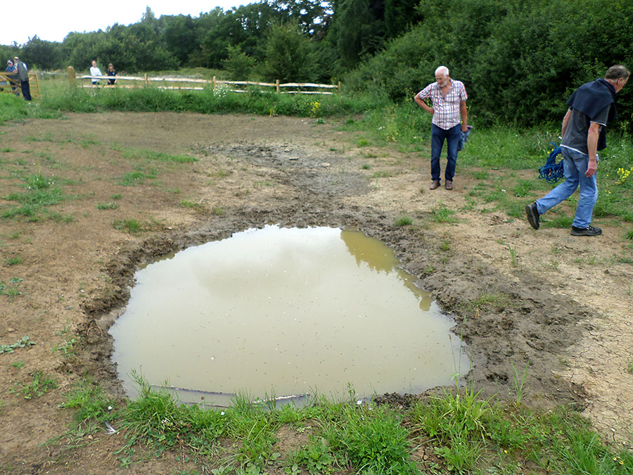 Photo of a partially dried-up pond.