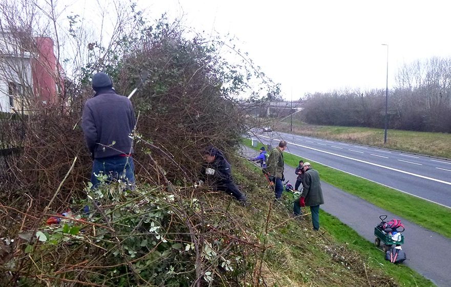 Photo of a group of people clearing vegetation on a roadside.