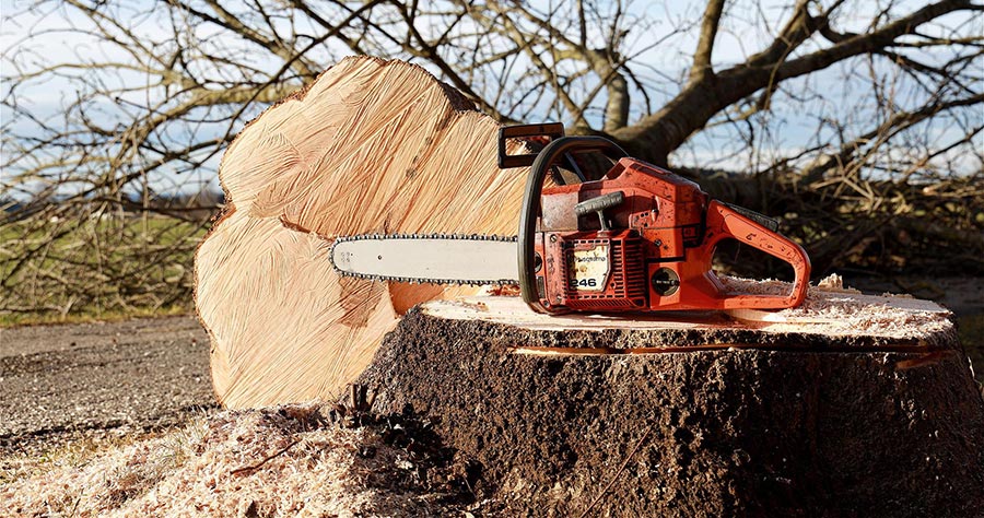 Photo of a chainsaw.