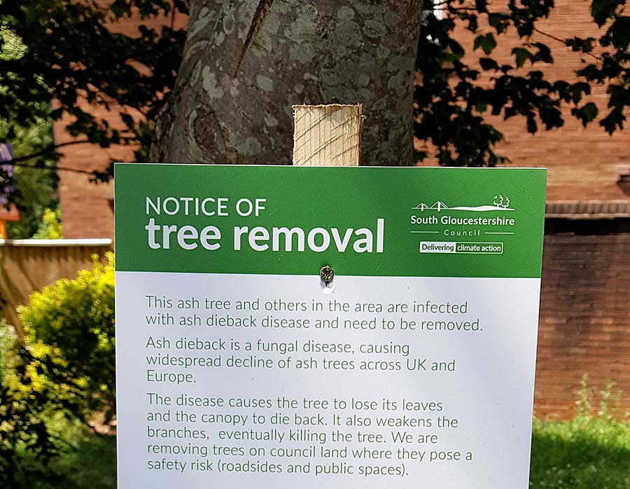 Notice advising of planned tree removal.