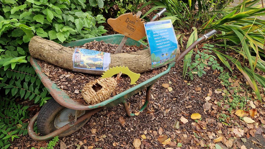 Photo of a wheelbarrow full of bark chippings and gardening equipment.